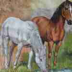 Two horses decoupage napkins