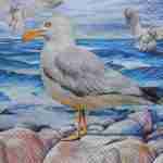 Seagulls blue sea rocks decoupage napkins