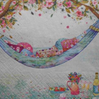 hammock picnic decoupage napkins