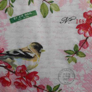bird paper tissue