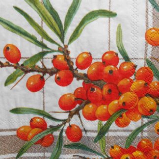 sea buckthorn decoupage napkins