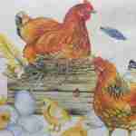 Chicken eggs decoupage paper napkins