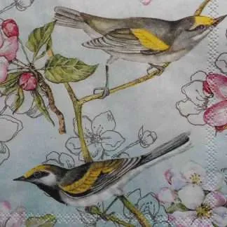 birds decoupage napkins