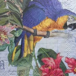 parrot decoupage napkin