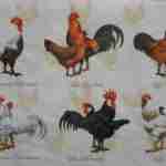Chicken couples decoupage napkins