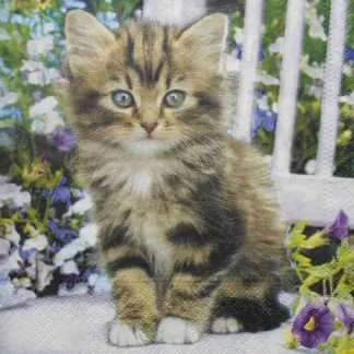 cat paper napkins for decoupage