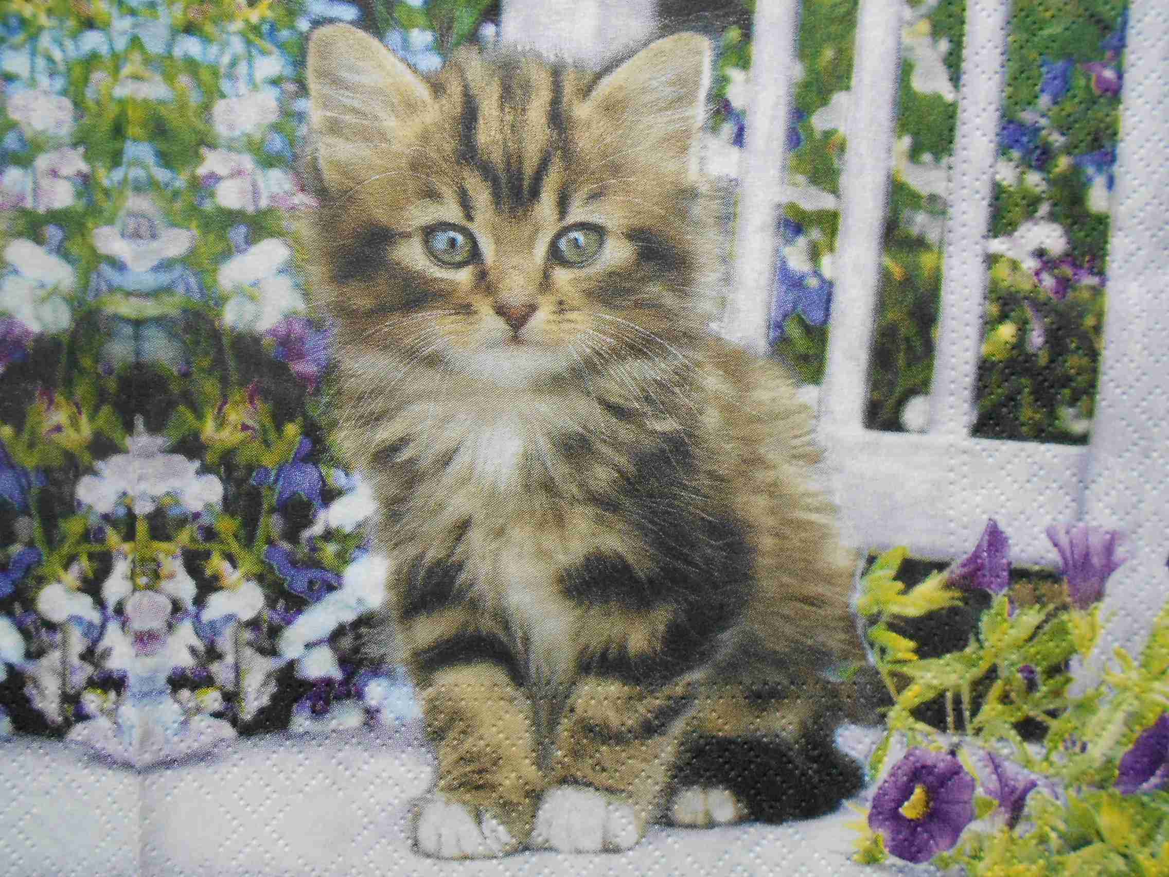 Cat in garden paper napkins for decoupage – Decoupage Paper Online Shop