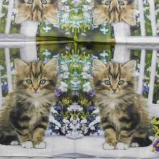 decoupage napkins
