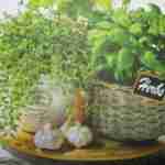 Basil thyme herbs decoupage paper napkins