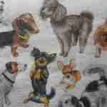 Poodle and other dogs decoupage paper napkins