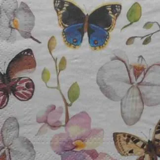 decoupage napkins