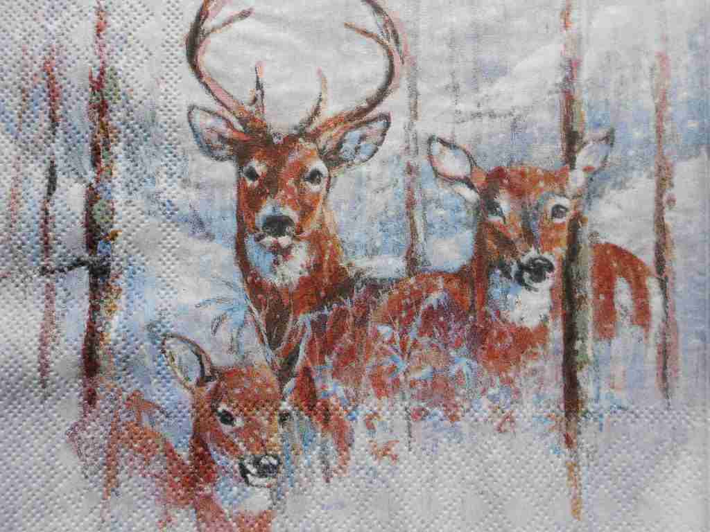 decoupage napkin