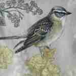 Bird on a branch gray decoupage paper napkins