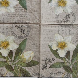 christmas rose napkins